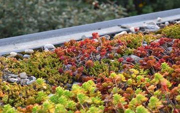 the cost of St Kew Highway green roof installation