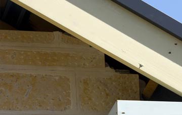 soffit repair St Kew Highway